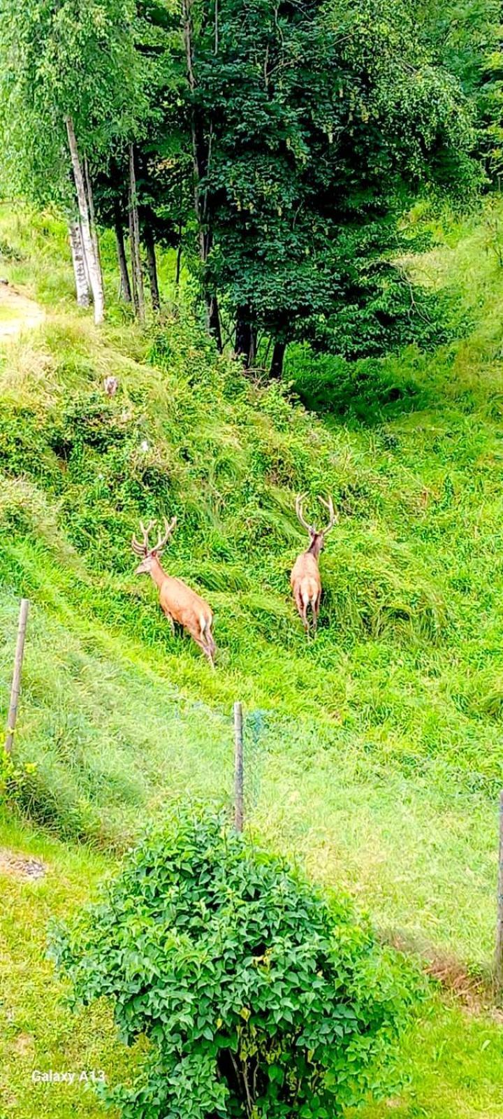 란조 딘텔비 Cascina Del Galin 아파트 외부 사진